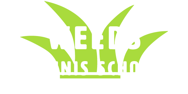 日進市で人気のテニススクールをお探しなら、初心者から競技志向の方におすすめの『WEEDS テニススクール』へ。